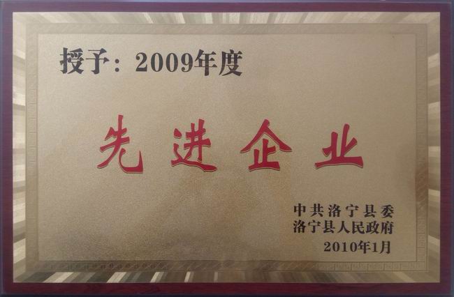 公司榮譽